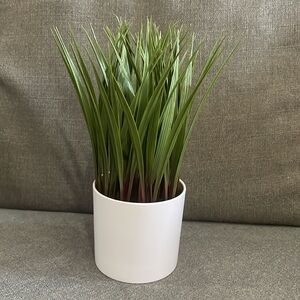 Target Green and White Faux Tall Grass Potted  Floral Accent